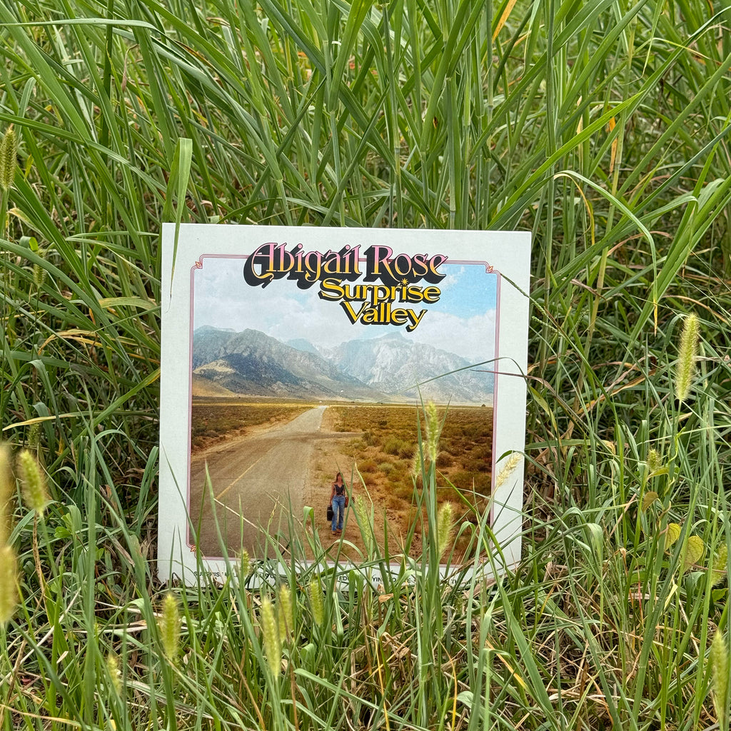 Surprise Valley EP Vinyl (Limited Edition)