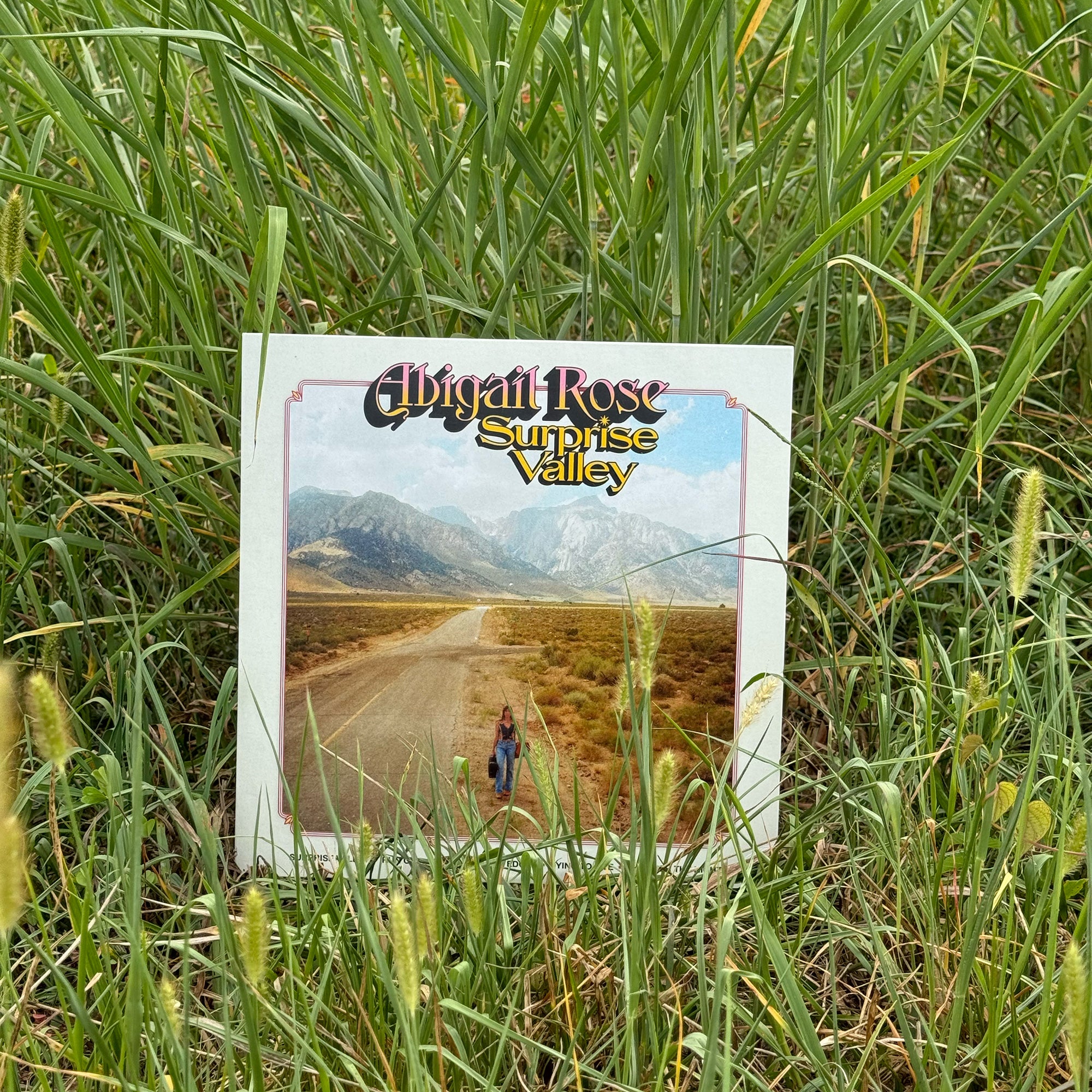 Surprise Valley EP Vinyl (Limited Edition)