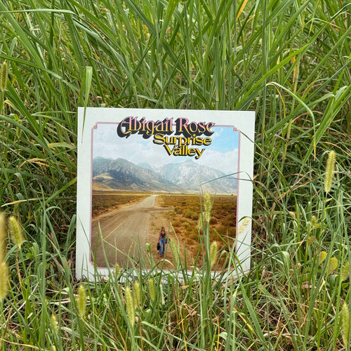 Surprise Valley EP Vinyl (Limited Edition)